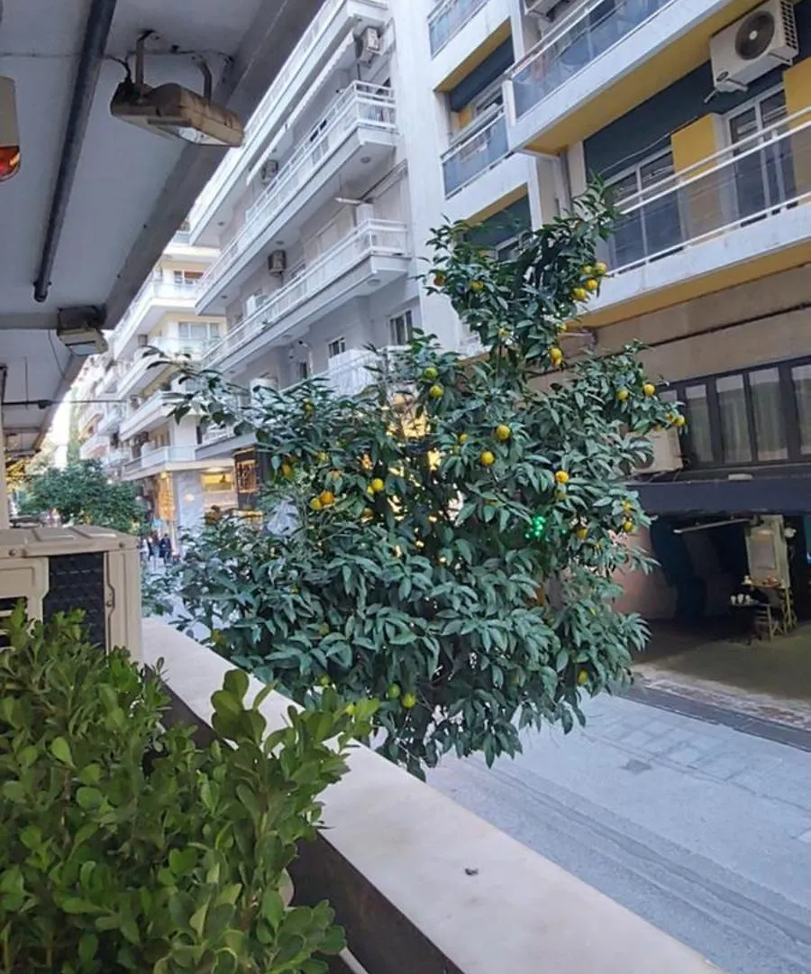 Urban Hide Apartment Thessaloniki